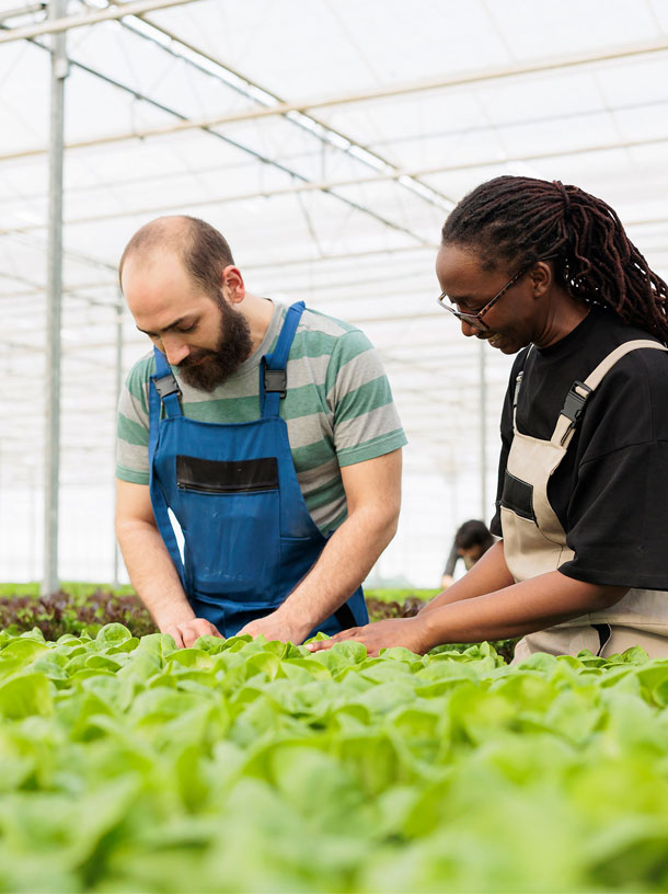 Personas trabajando en el sector de la agricultura